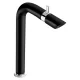 Llave alta de lavabo Bamboo Ébano Cromo 01
